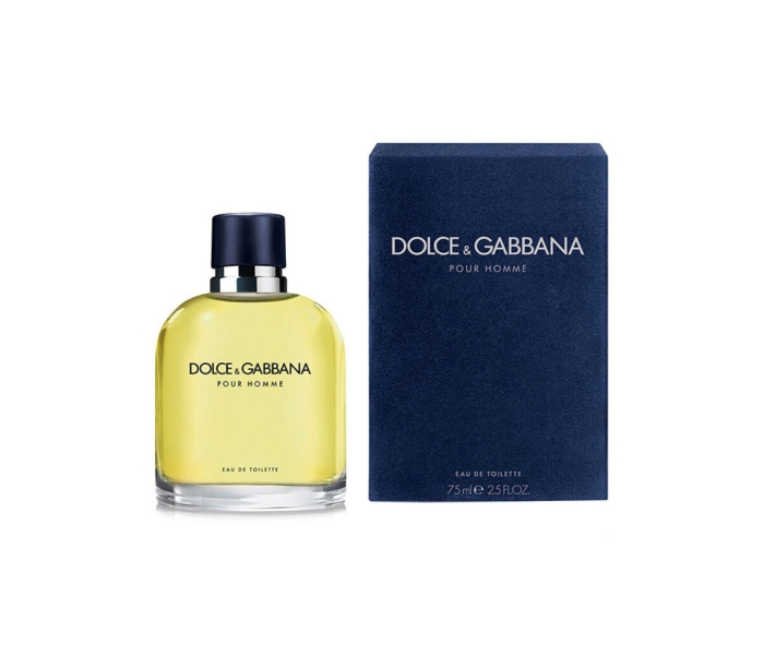 Dolce & Gabbana, Pour Homme, Eau De Toilette, For Men, 75 ml